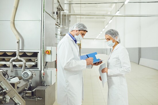 audit of food factory efficiency