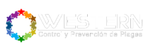 cropped logo w1 letras blancas.png
