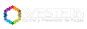 cropped logo w1 letras blancas.png