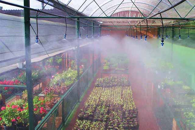 servicio nebulizador