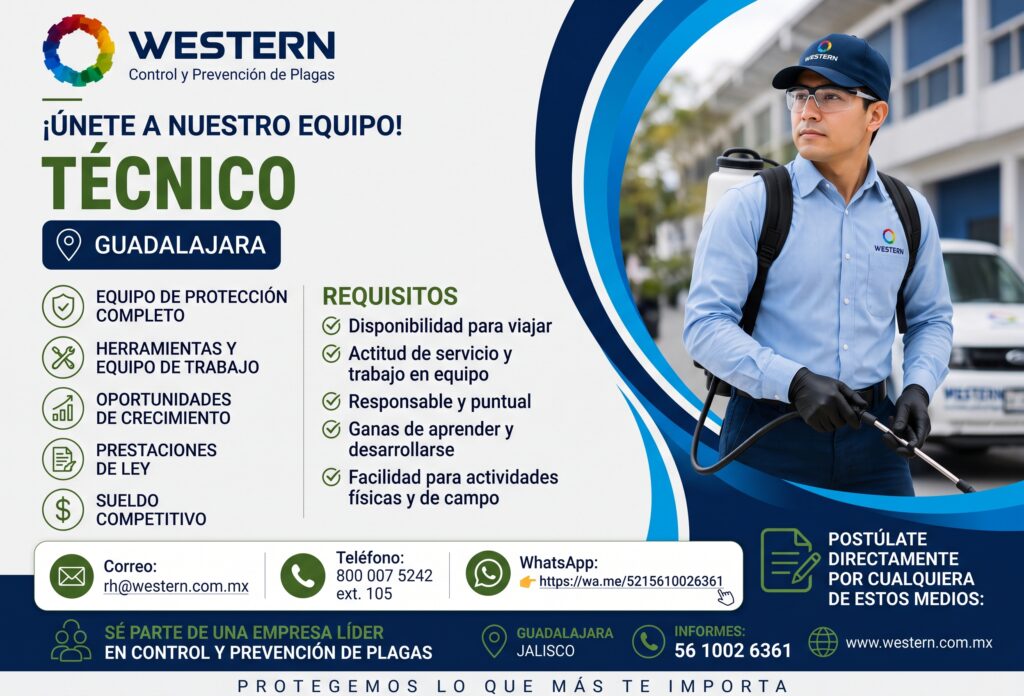 bolsa de trabajo tecnico